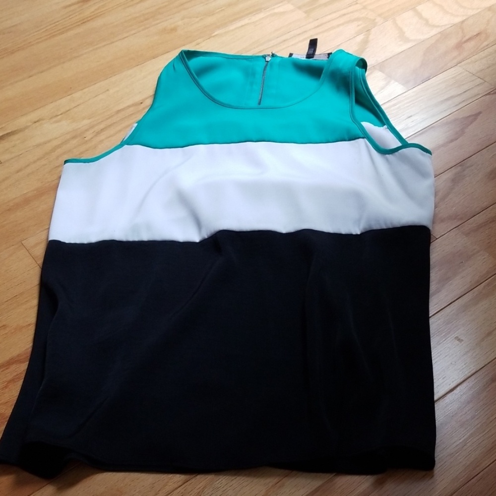 BCBG mazaria Color block shirt